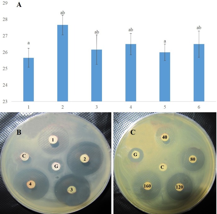 Fig 5