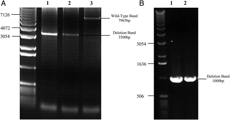 Figure 2.