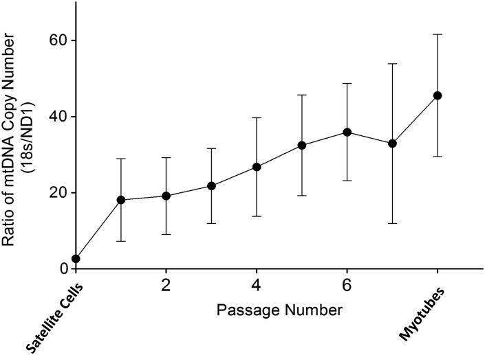 Figure 4.