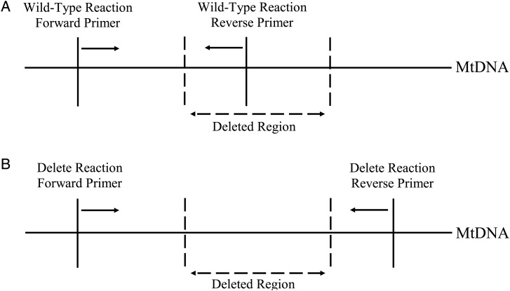 Figure 1.