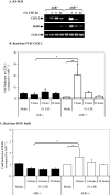 FIGURE 10.