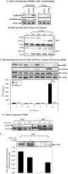 FIGURE 9.