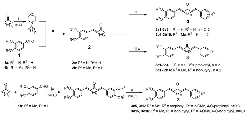 Scheme 2