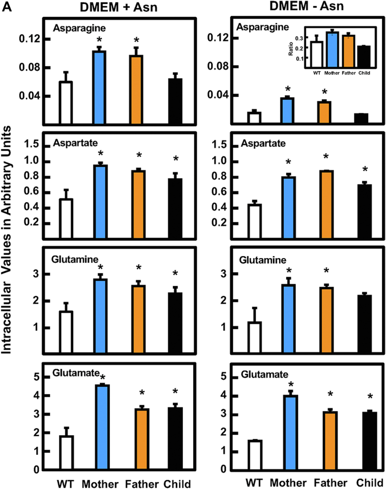 Figure 5