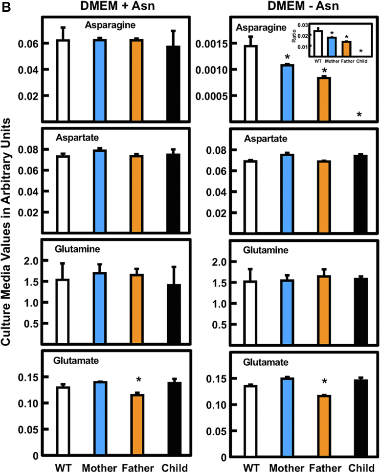 Figure 5