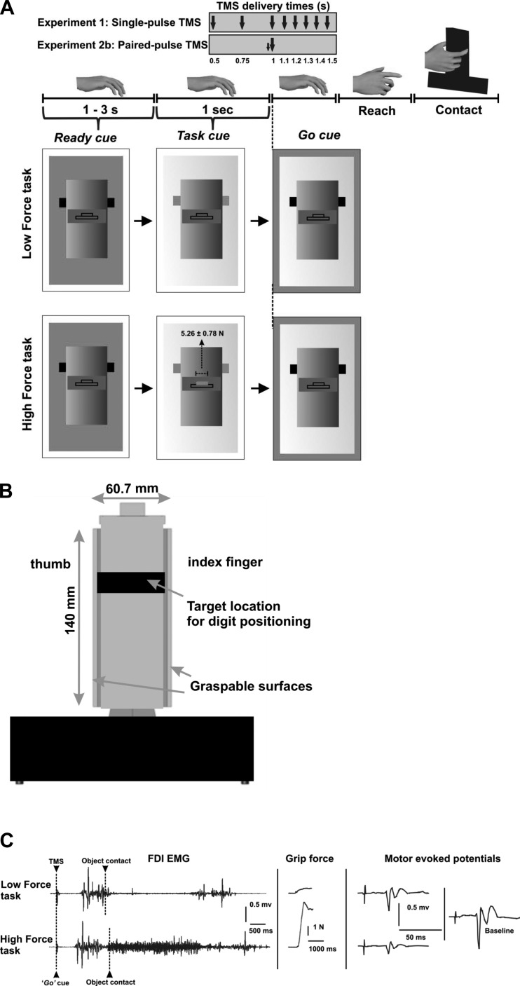 Fig. 1.