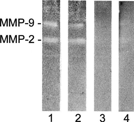 Fig 5.