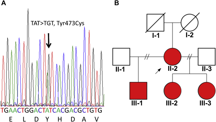 Figure 1