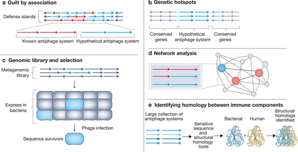 graphic file with name nihms-2009757-f0003.jpg