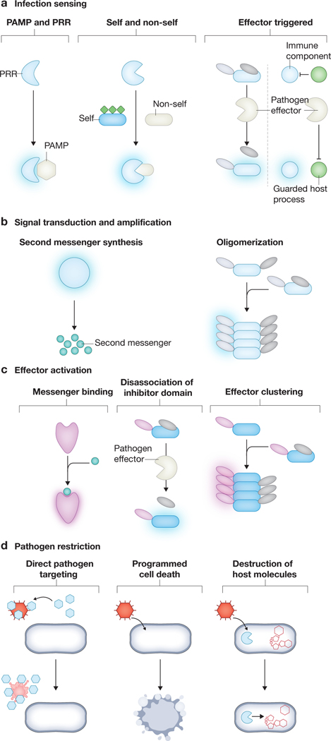 Figure 1: