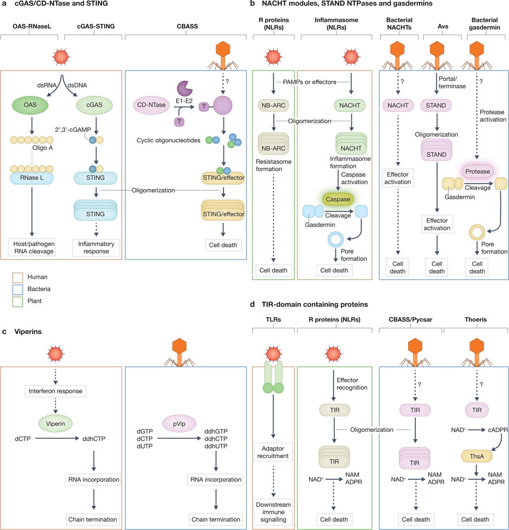 Figure 2: