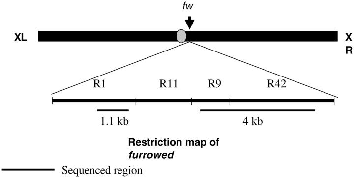 Figure 1.—