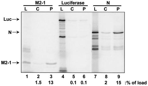 FIG. 2.