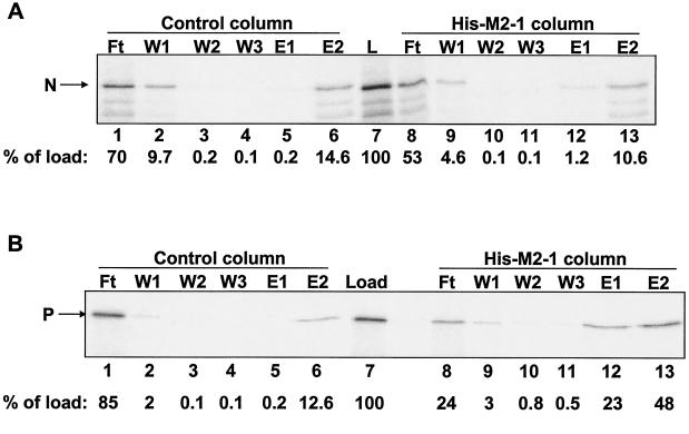 FIG. 1.