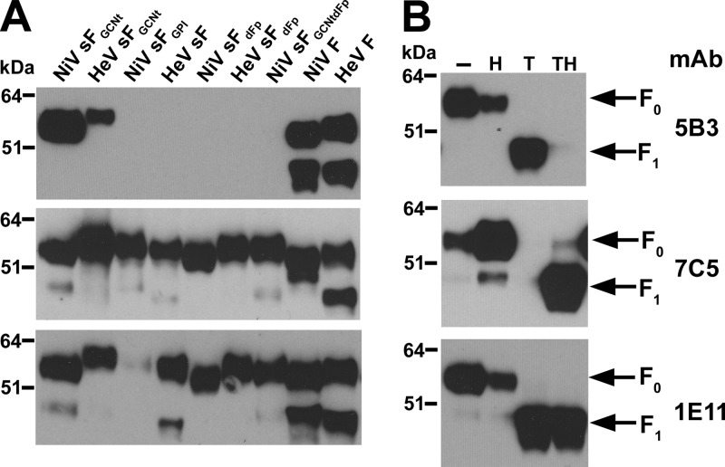 Fig 9