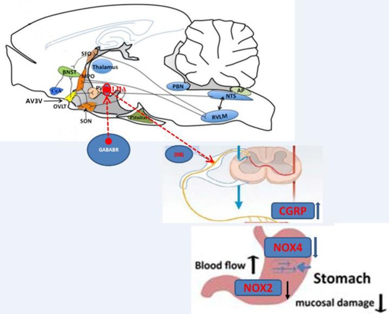 Figure 13