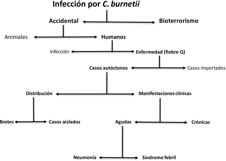 Figura 3