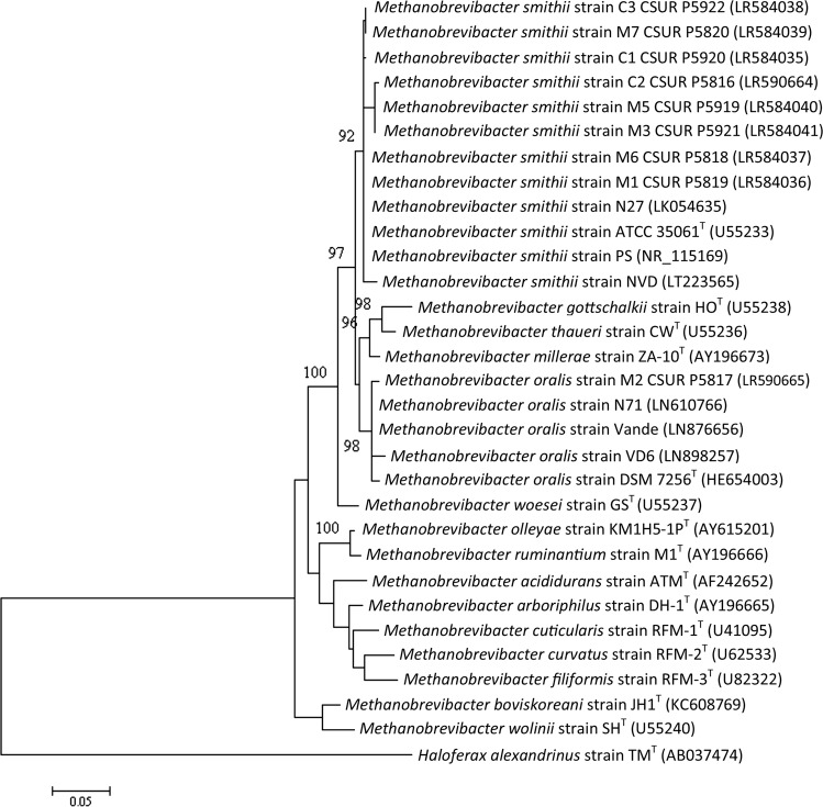 Figure 2