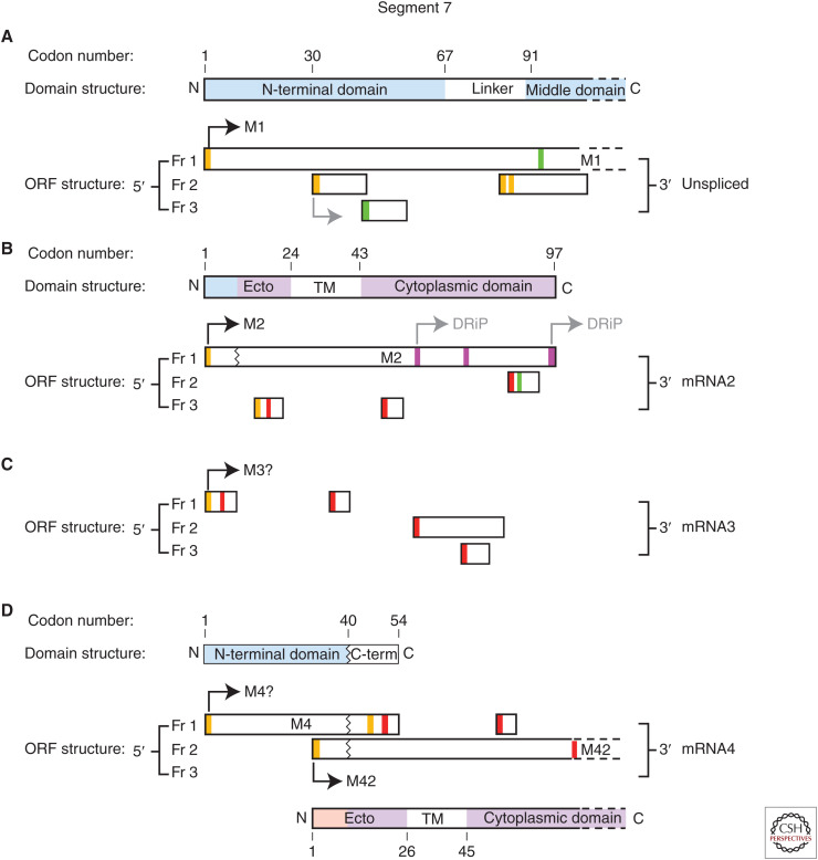 Figure 4.