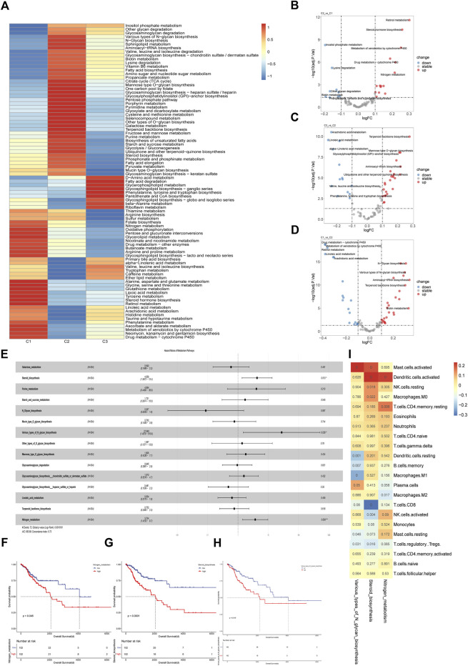 Characterization Of The Microenvironment In Different Immune-metabolism 