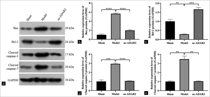 Figure 3: