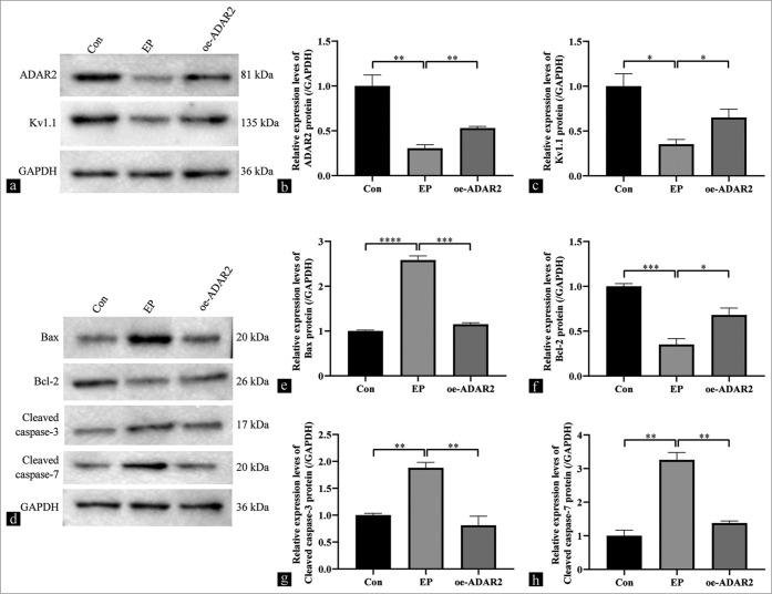 Figure 4: