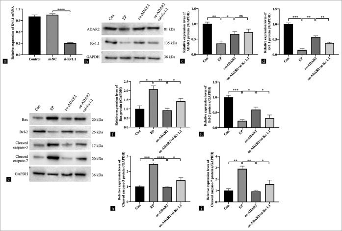 Figure 5: