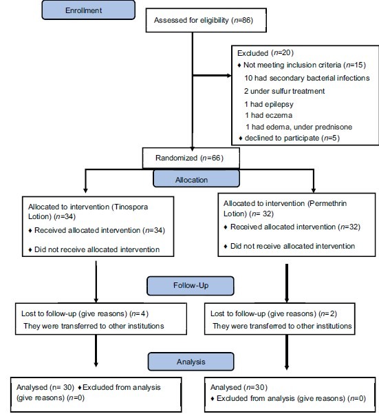 Flow chart 1