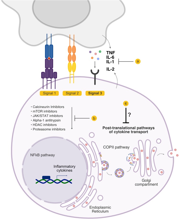 FIGURE 1