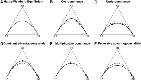 Figure 1.—