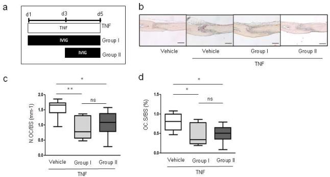 Fig.3