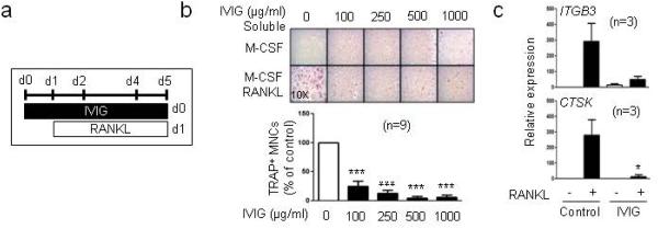 Fig.1