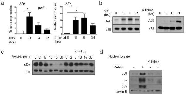 Fig.6