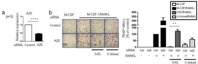 Fig.7