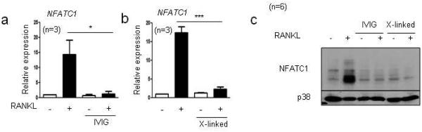 Fig.5