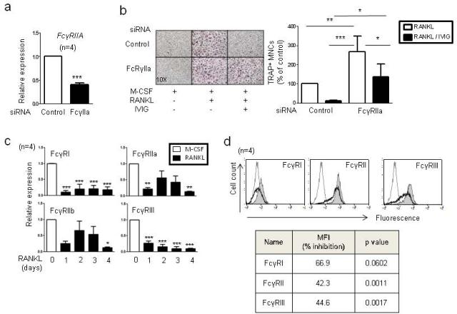 Fig.2