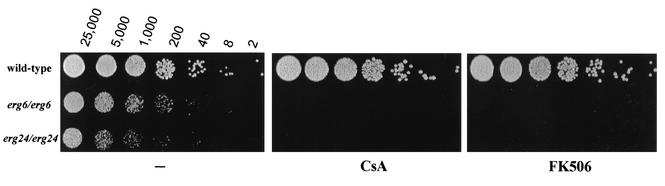 FIG. 3.