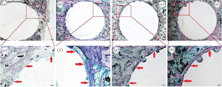 Figure 11.