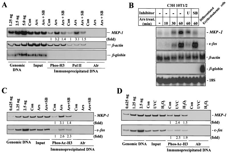 FIG. 7