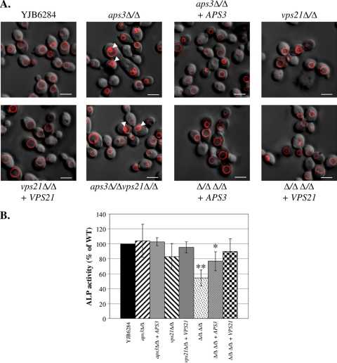 Fig. 1.