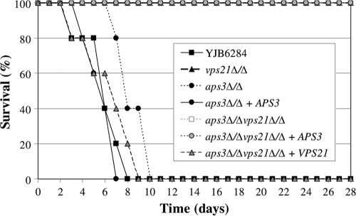 Fig. 6.