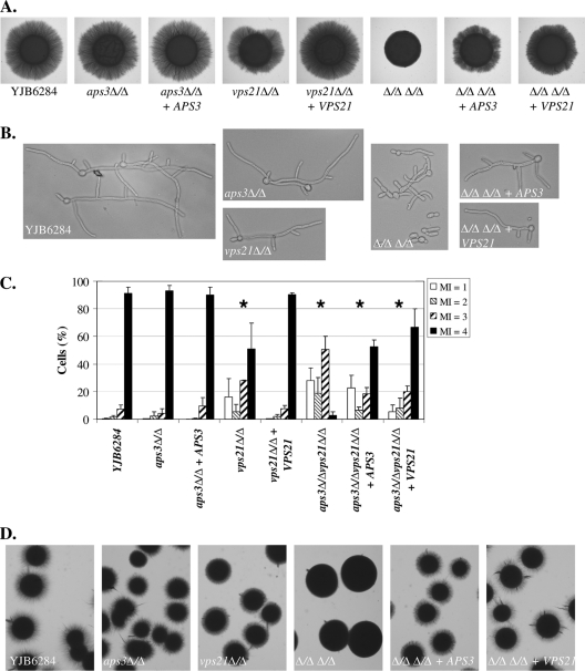 Fig. 4.