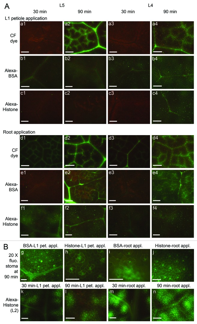 Figure 6. 