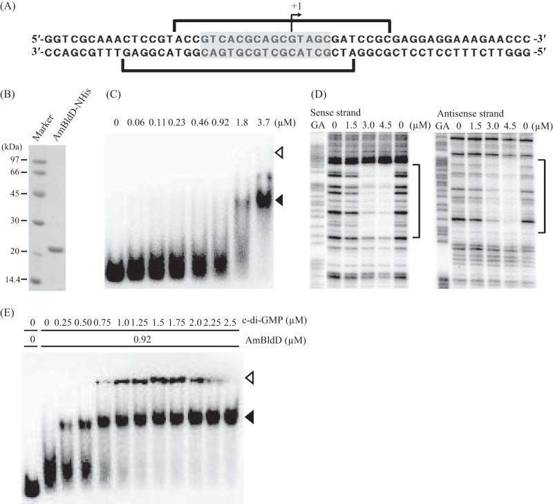 FIG 6