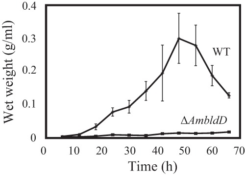 FIG 5