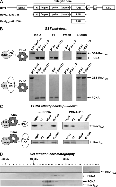 FIGURE 1.