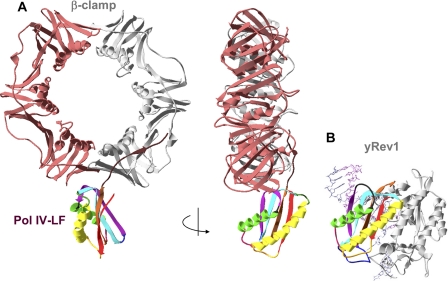 FIGURE 5.