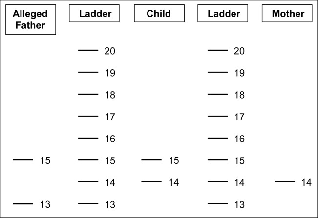 Figure 1 :