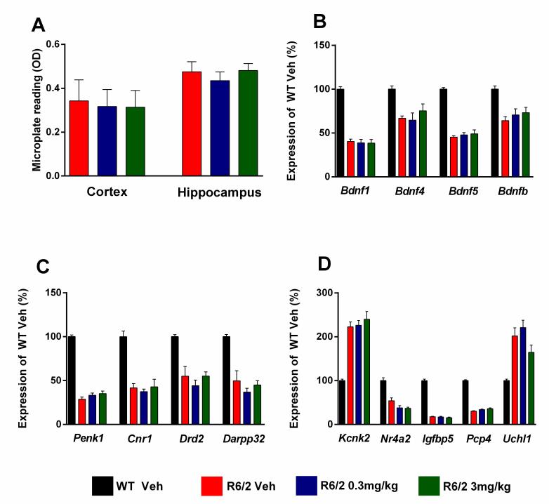 Evaluation of HTT aggregate load, and markers of transcriptional dysregulation, after chronic administration of SCH-51866 in R6/2 animals.