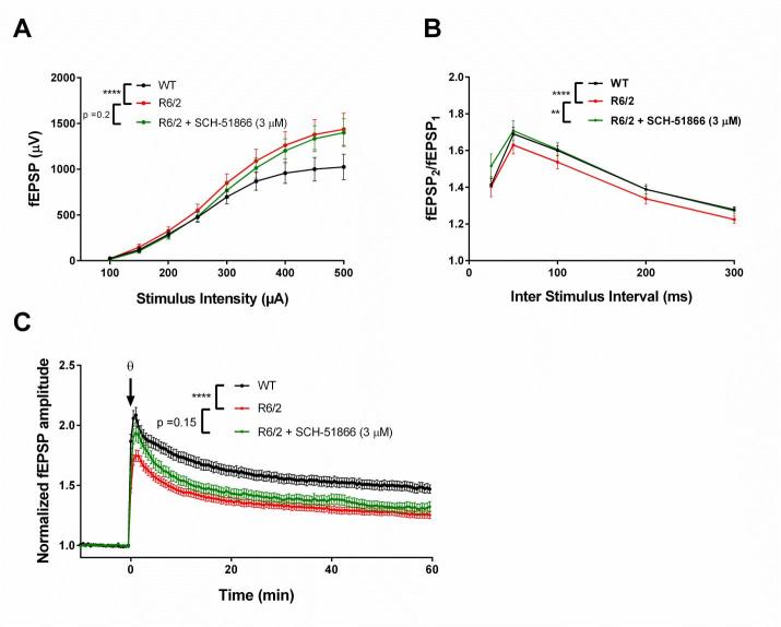 Evaluation of SCH-51866 in acute hippocampal slices.